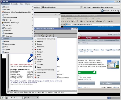 MetaVNC Java Viewer Screen Shot